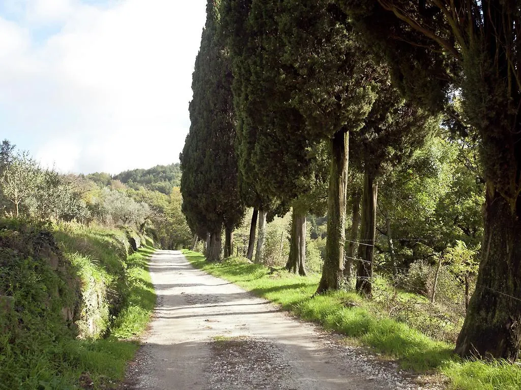 Belvilla By Oyo Le Olive Vaglia  Holiday home Vaglia (Tuscany)